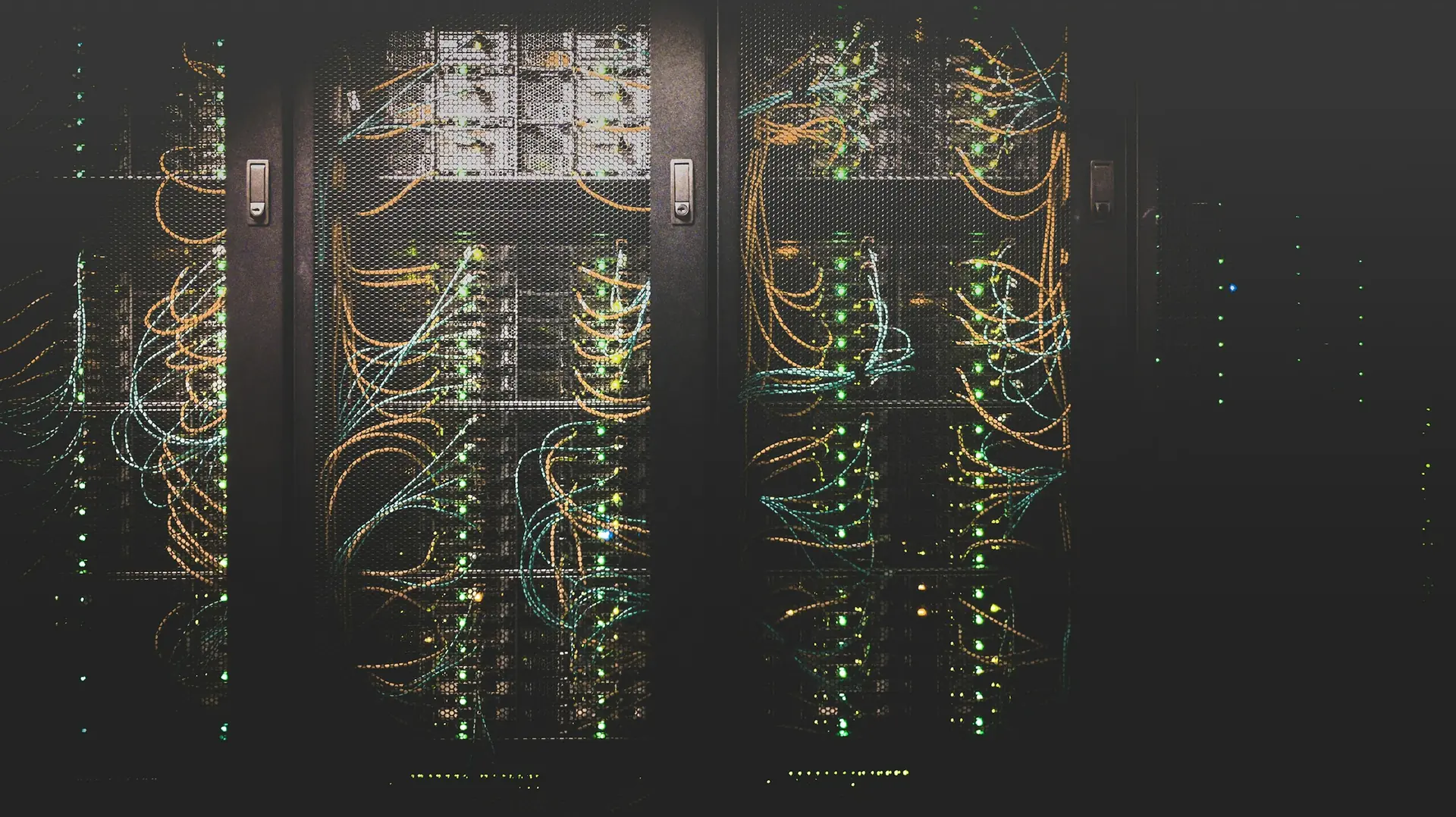 Network cables connected to a server rack